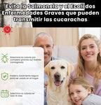 🪳🚫 Adiós a las cucarachas: Quick Catch™ — cebo potente y fácil de usar