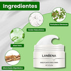 (Oferta especial) 🎁 Lanbena®: Mascarilla avanzada para puntos negros