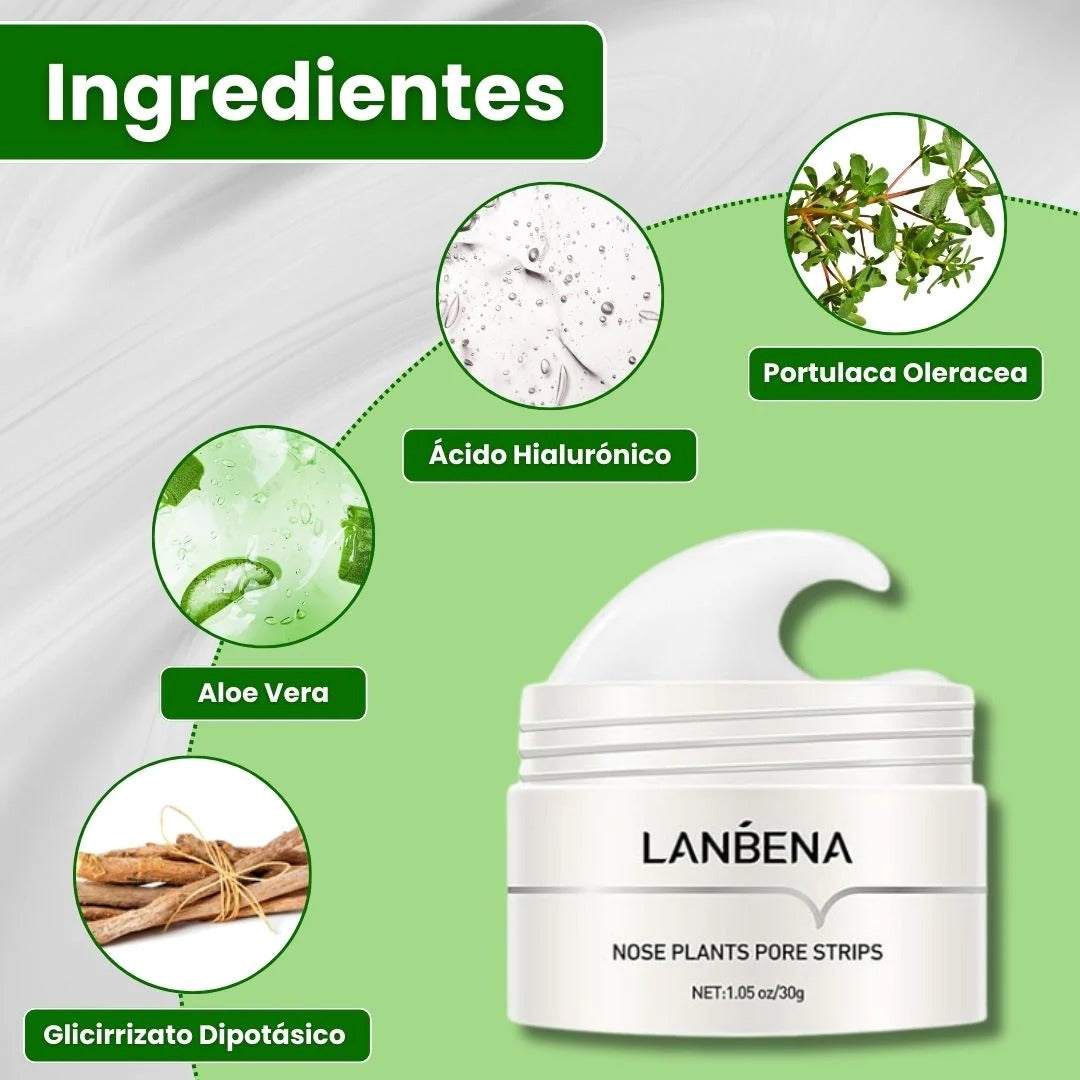 (Oferta especial) 🎁 Lanbena®: Mascarilla avanzada para puntos negros