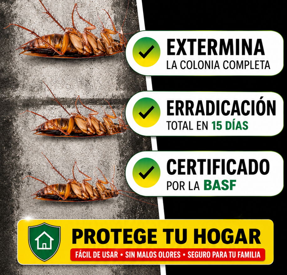 🪳🚫 Adiós a las cucarachas: Quick Catch™ — cebo potente y fácil de usar